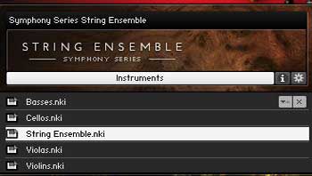 NI_String_Ensemble_Bild2
